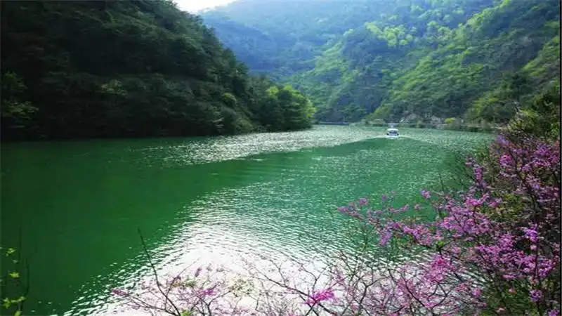 Hotels near Baishi Wan Scenic Spot