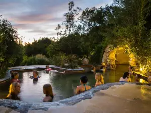 Mornington Peninsula Hot Springs Day Trip from Melbourne