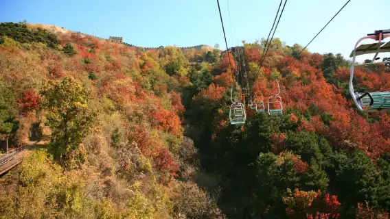 Beijing Mutianyu Great Wall 1-day tour[English Tour, guide buided commentary, Scheduled Meeting Point, Bird's Nest Exterior]