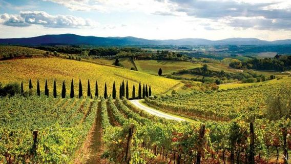 Montepulciano