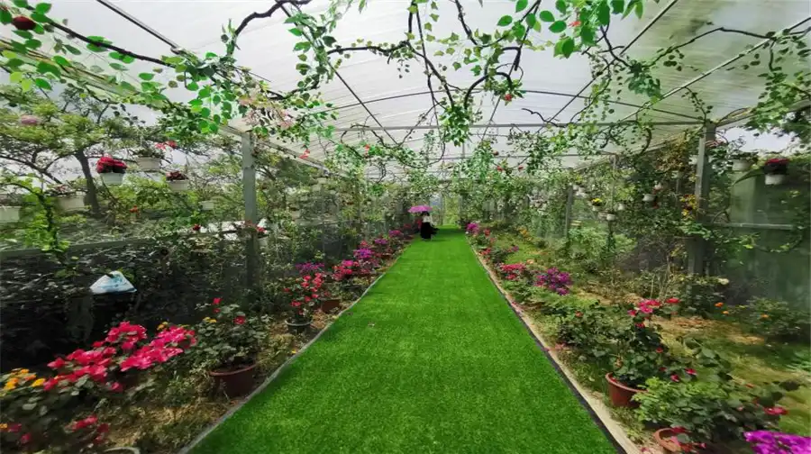 Hotel in zona Jinhai Snow Mountain · Four season flower valley