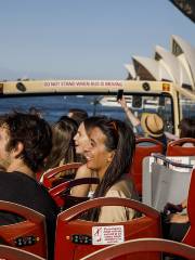 Big Bus Tours Sydney