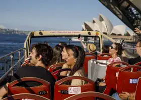 Big Bus Tours Sydney