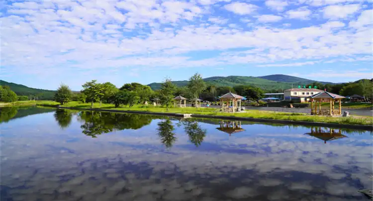 Hotels in Yichun