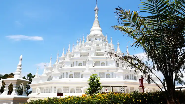 Mang, Đức Hoành