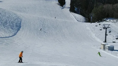 Manba Ski and Snowboard Resort attraction in Prefettura di Hyōgo