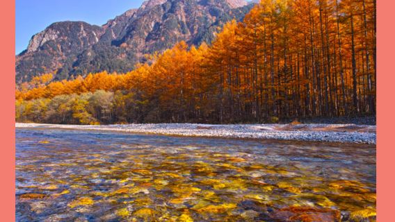 Autumn leaves season maple viewing | Japan Kamikōchi, Kappabashi Bridge, Taisho Ike Pond 1-day tour light luxury small group