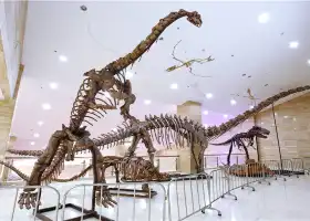 寧夏地質博物館
