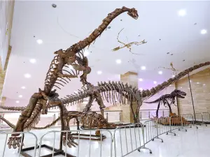 Ningxia Geological Museum