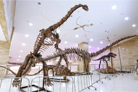 Ningxia Geological Museum
