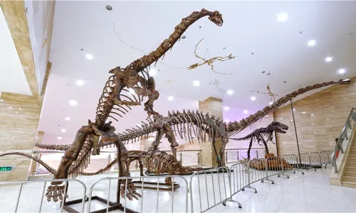 Ningxia Geological Museum
