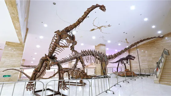 Ningxia Geological Museum