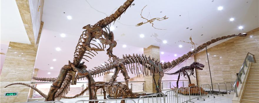 Ningxia Geological Museum