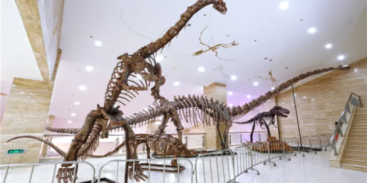 寧夏地質博物館