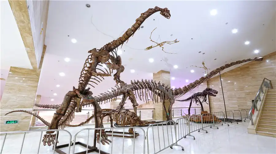 Hotels near Ningxia Geological Museum