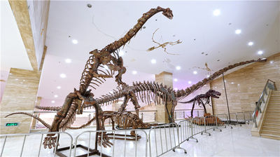 Ningxia Geological Museum