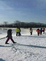 華彬生態園滑雪場