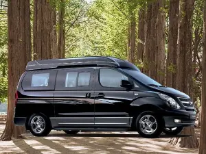 Private Van Tour to Nami Island, Petite France & More (Up to 10 or 16 pax)
