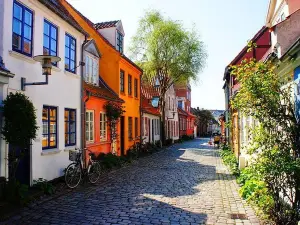 Private Shore Excursion: Highlights of Aarhus