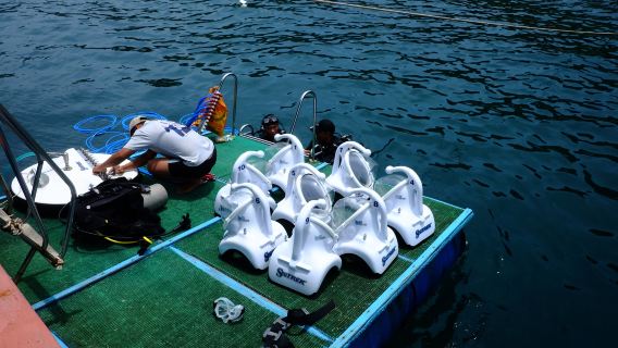 Viet Nam Cham Island Walking Underwater Tour by Speed Boat