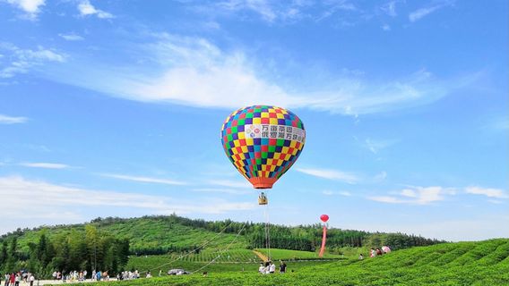 Miles Tea Garden · Tetris Town