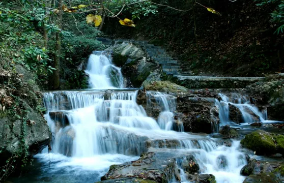 龍潭河門票成人