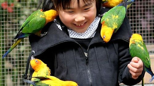 富士花鳥園