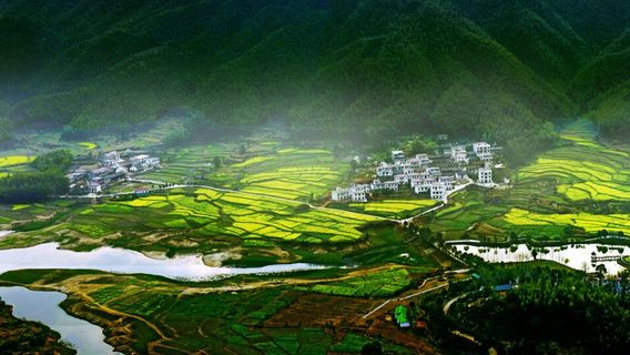 Lion Peak Scenic Area