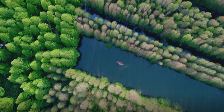 Golden Lake Water Forest Scenic Area