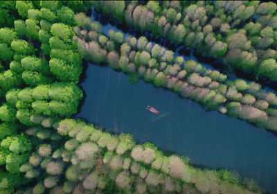 Golden Lake Water Forest Scenic Area