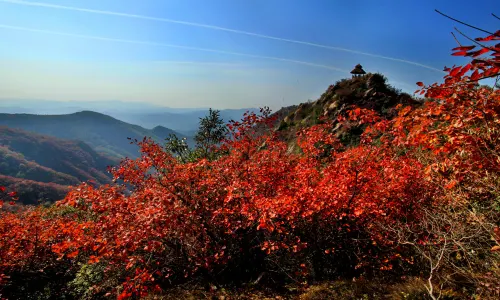 Dahong Village Scenic Resort
