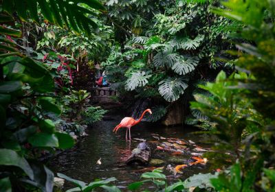 Victoria Butterfly Gardens