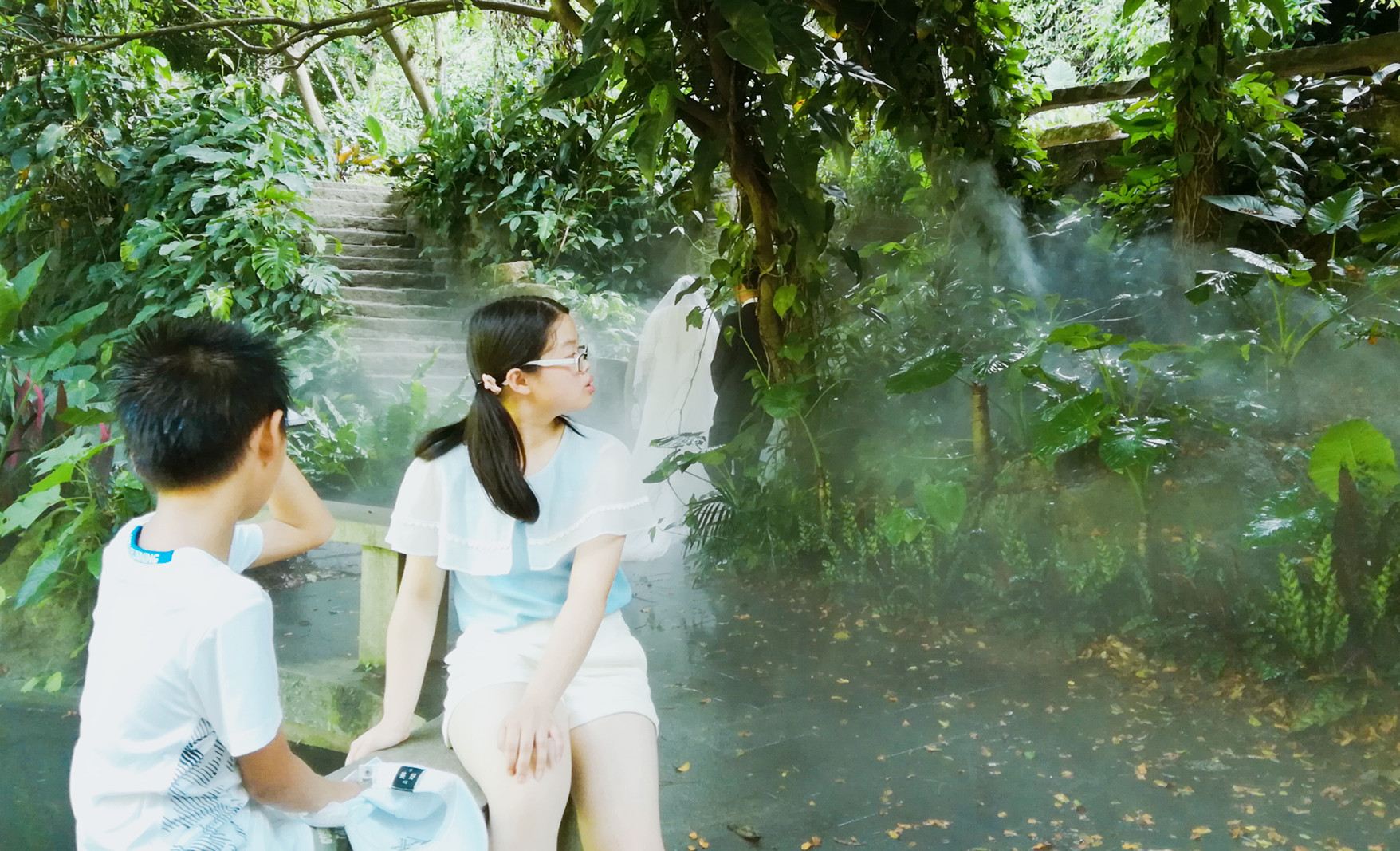 Xiamen Kulangsu bilingual guide commentary | private group customization | reputable service | self-guided tour with optional attractions | boat ticket purchase assistance