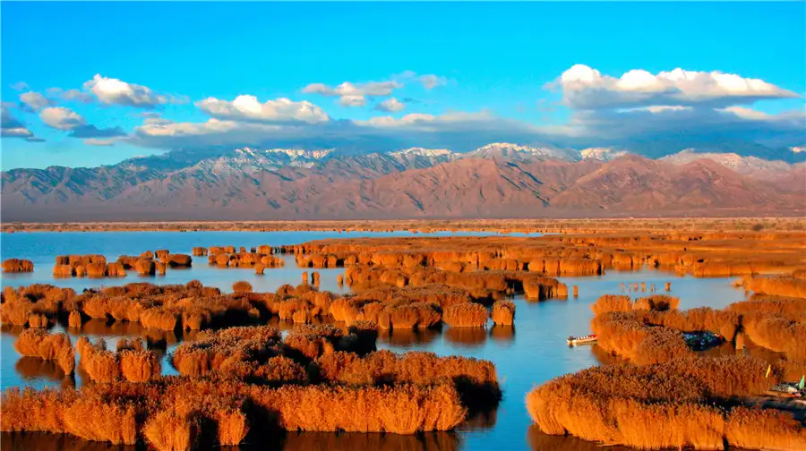 5_Sand Lake
