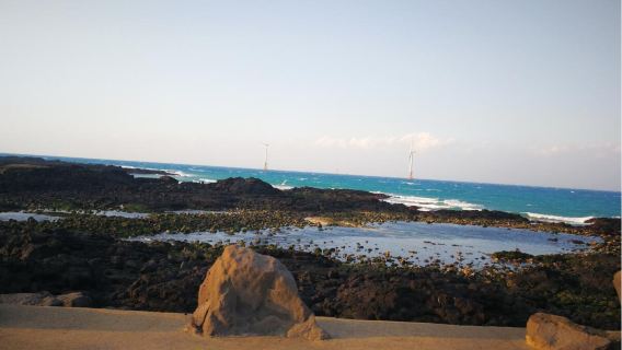 西歸浦市日遊