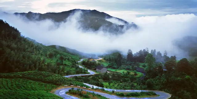 Sea of Clouds in Ji'an