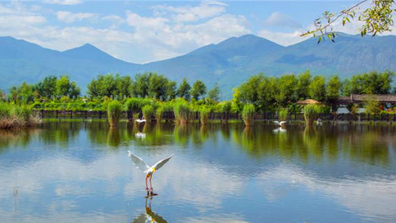 Lashihai Wetland Park
