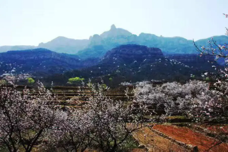 仏光山