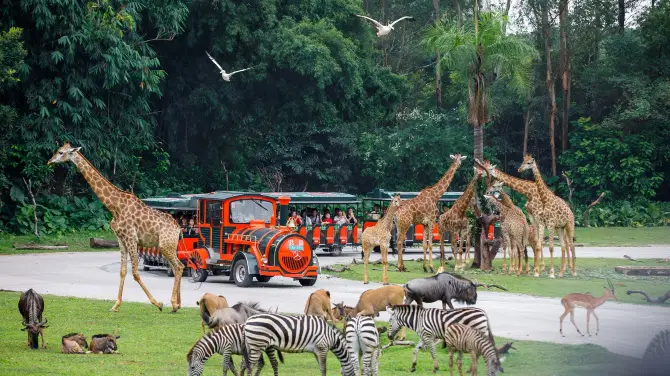 1_Chimelong Safari Park