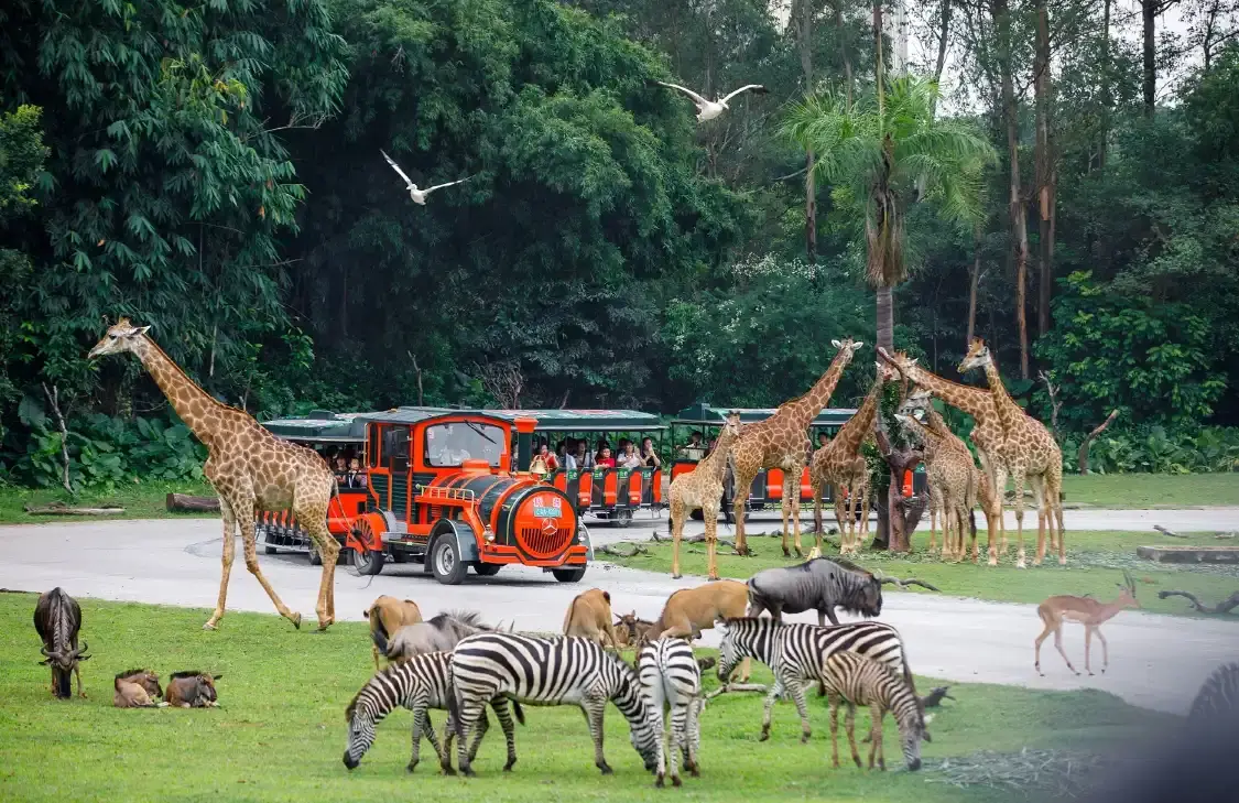 Hotels near Chimelong Safari Park