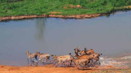 Poyang Lake National Wetland Park