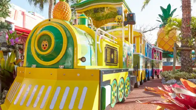 Okinawa Churaumi Aquarium & Nago Pineapple Park & Kouri Island day tour|Chinese,English, and Korean Audio Guide