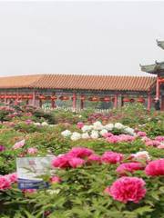 Caozhou Bai Garden