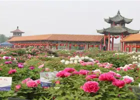 Caozhou Bai Garden