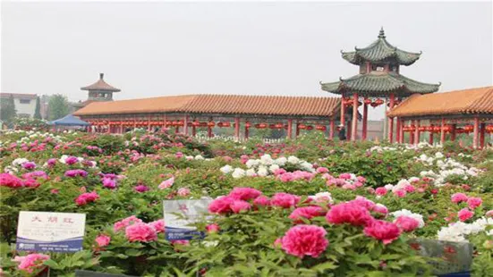 Caozhou Bai Garden