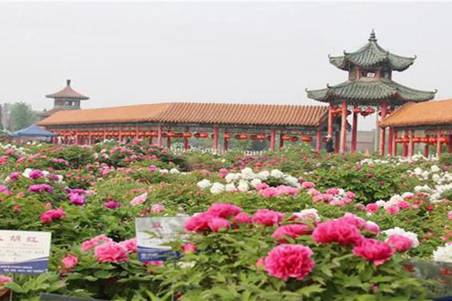 Caozhou Bai Garden