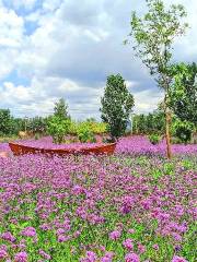 紫雲水岸香草園