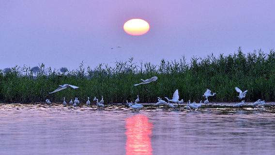 Hengshuihu Wetland Park