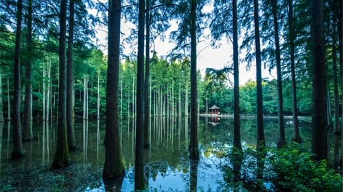 波爾登森林公園