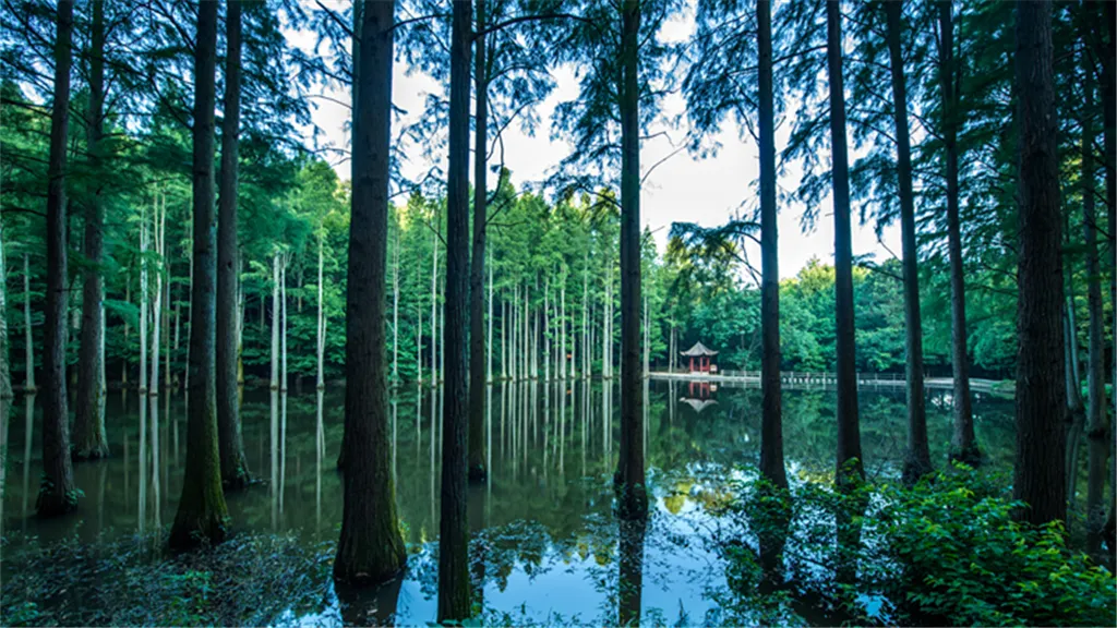 2_波爾登森林公園